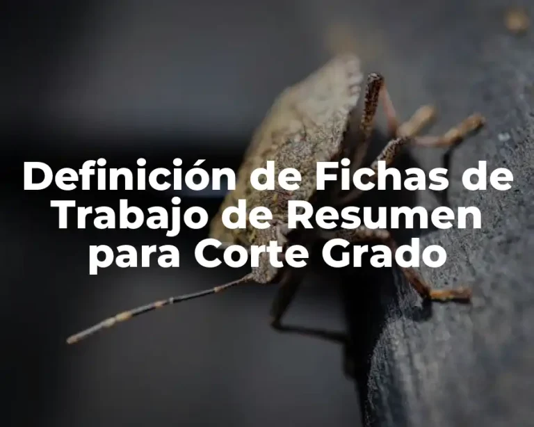 Definición de Fichas de Trabajo de Resumen para Corte Grado