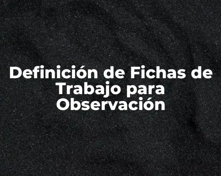 Definición de Fichas de Trabajo para Observación