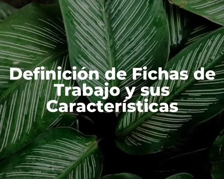 Definición de Fichas de Trabajo y sus Características