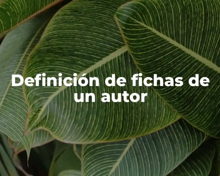 Definición de fichas de un autor