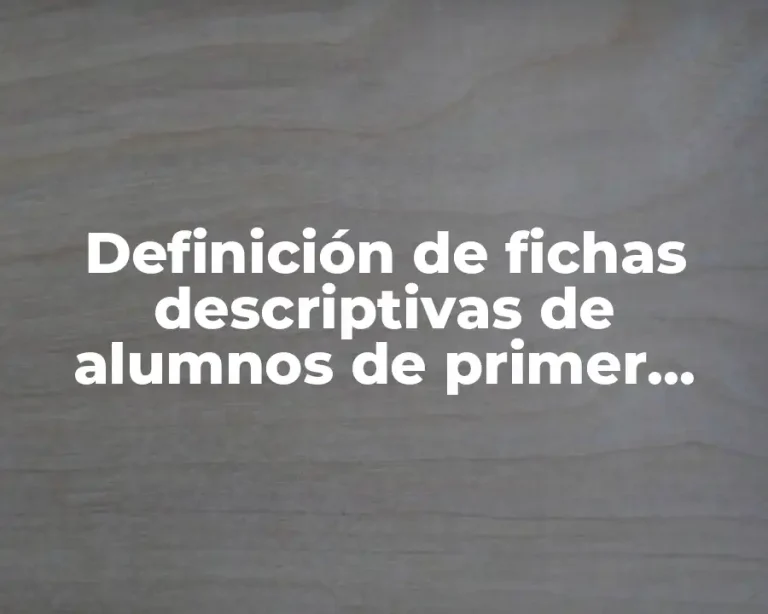 Definición de fichas descriptivas de alumnos de primer grado