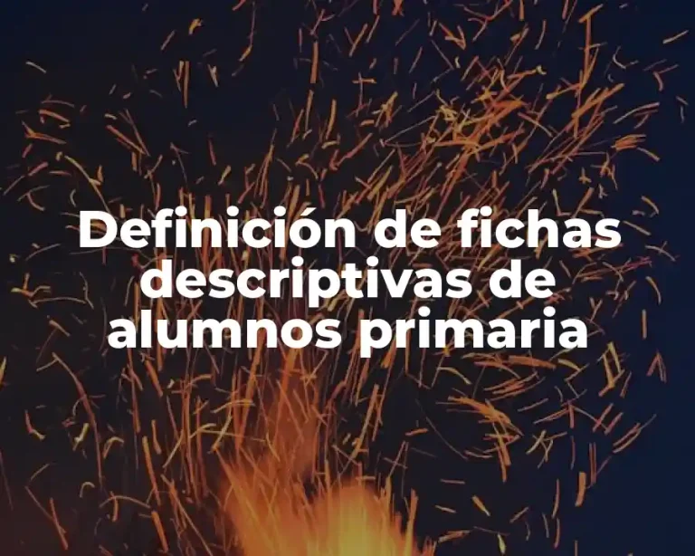 Definición de fichas descriptivas de alumnos primaria