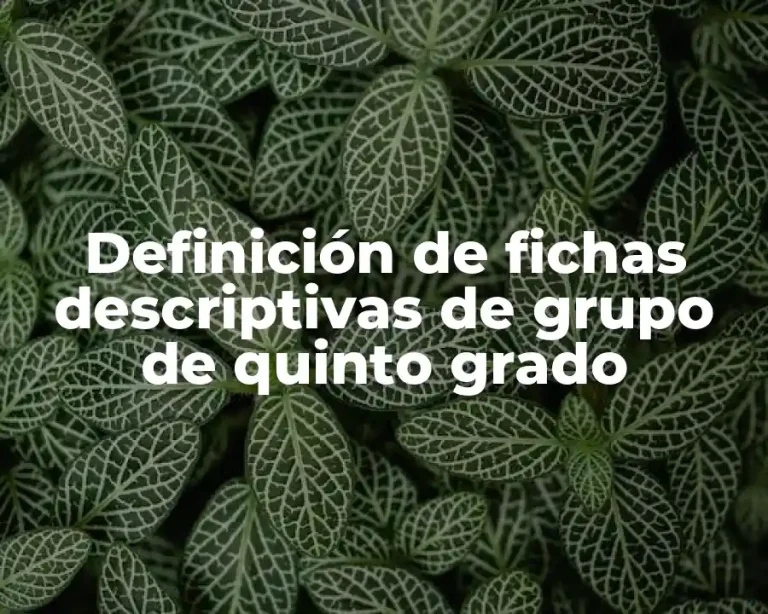 Definición de fichas descriptivas de grupo de quinto grado