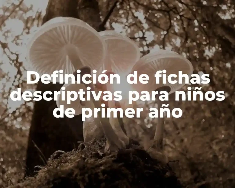 Definición de fichas descriptivas para niños de primer año