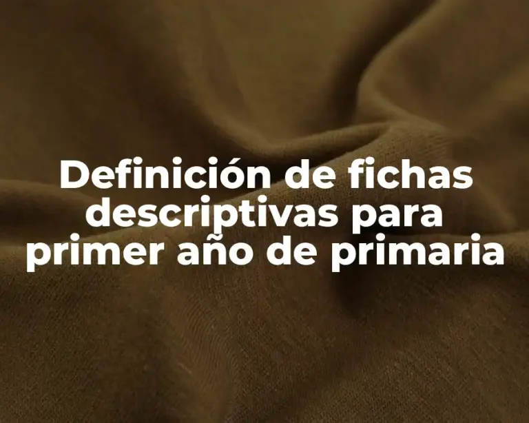 Definición de fichas descriptivas para primer año de primaria