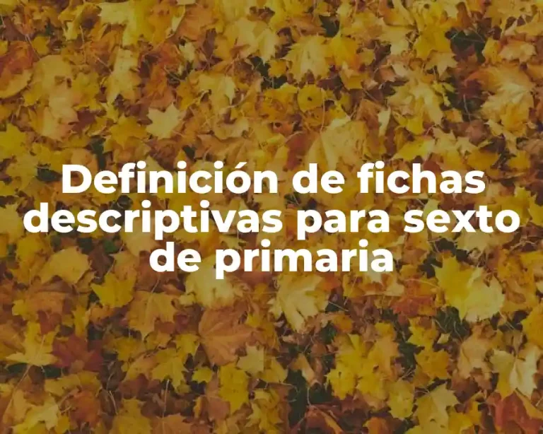 Definición de fichas descriptivas para sexto de primaria