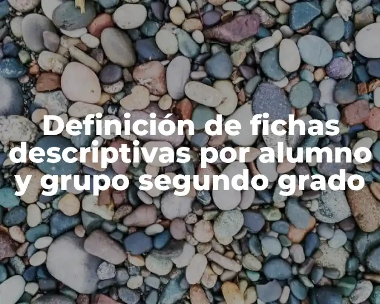 Definición de fichas descriptivas por alumno y grupo segundo grado
