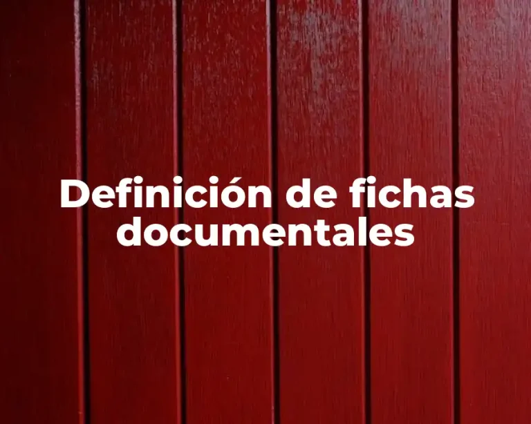 Definición de fichas documentales