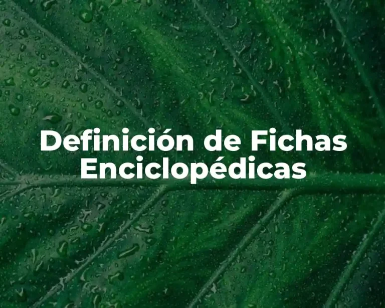 Definición de Fichas Enciclopédicas