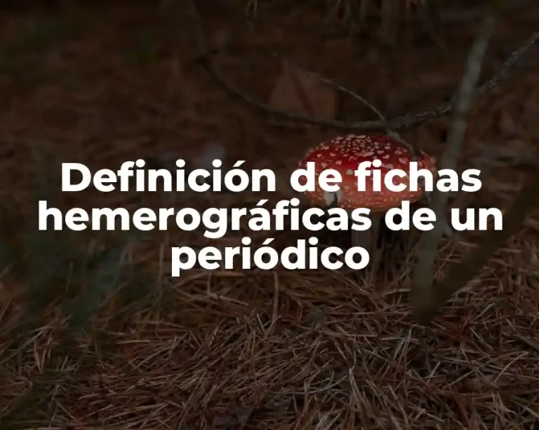 Definición de fichas hemerográficas de un periódico