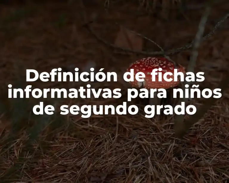 Definición de fichas informativas para niños de segundo grado