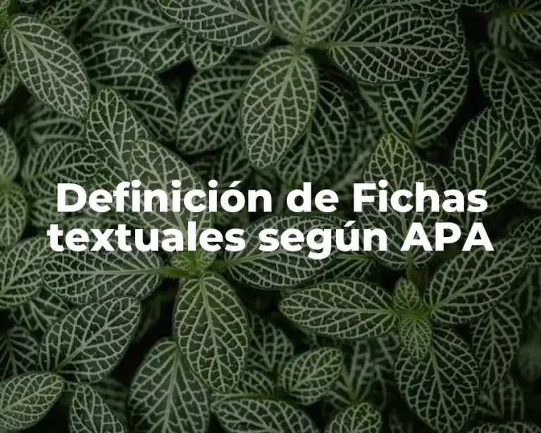 Definición de Fichas textuales según APA