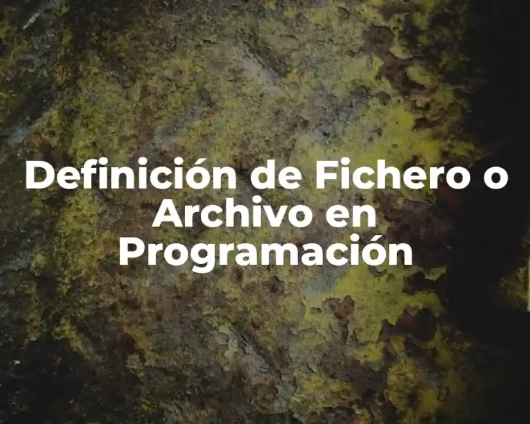 Definición de Fichero o Archivo en Programación