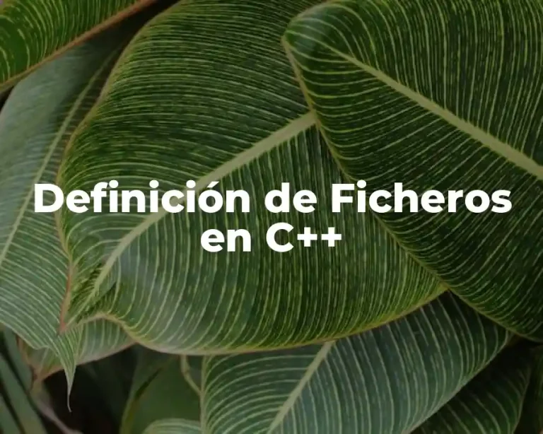Definición de Ficheros en C++