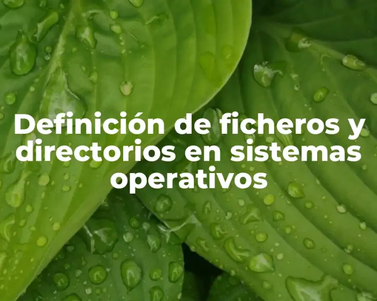 Definición de ficheros y directorios en sistemas operativos