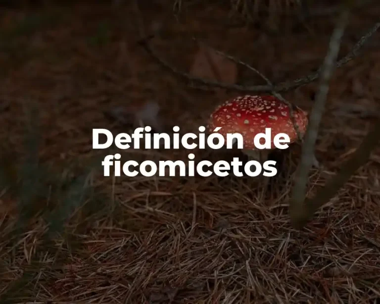 Definición de ficomicetos