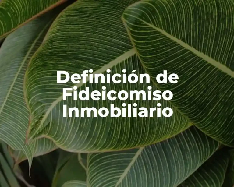 Definición de Fideicomiso Inmobiliario