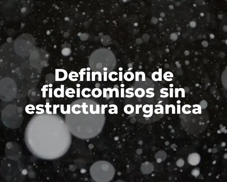 Definición de fideicomisos sin estructura orgánica