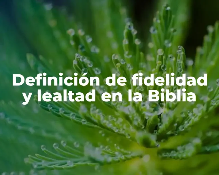 Definición de fidelidad y lealtad en la Biblia