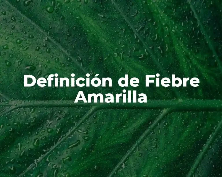 Definición de Fiebre Amarilla