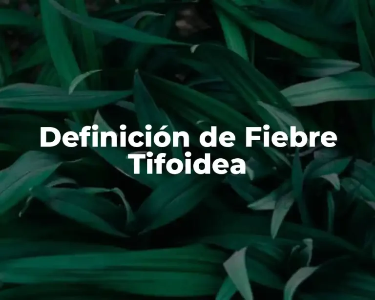 Definición de Fiebre Tifoidea