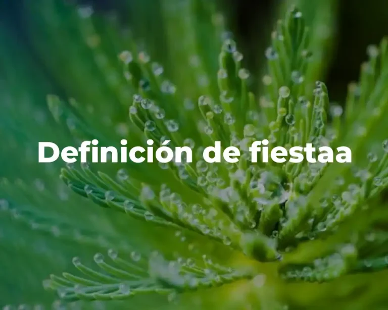 Definición de fiestaa