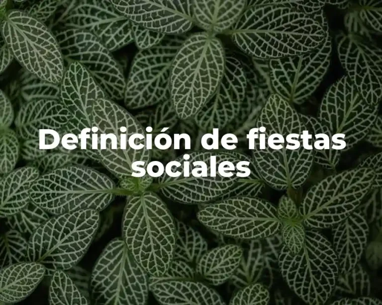 Definición de fiestas sociales