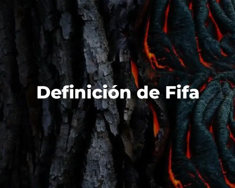 Definición de Fifa