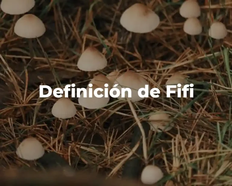 Definición de Fifi