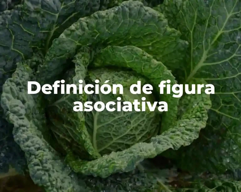 Definición de figura asociativa