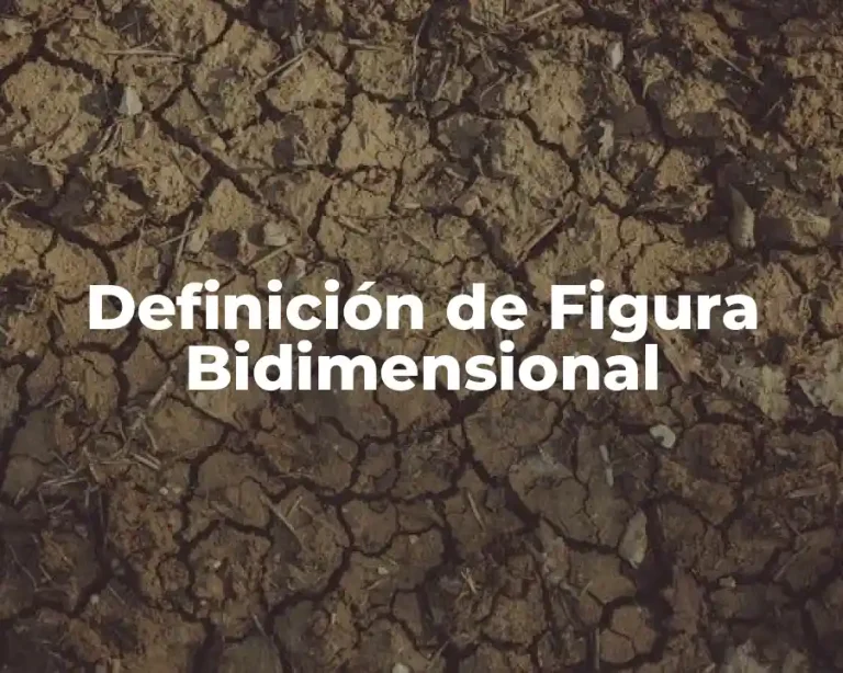 Definición de Figura Bidimensional