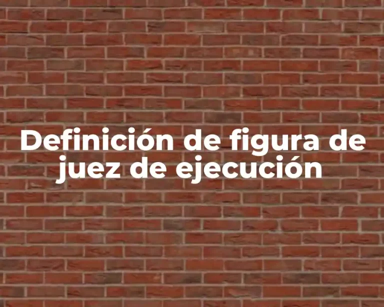 Definición de figura de juez de ejecución
