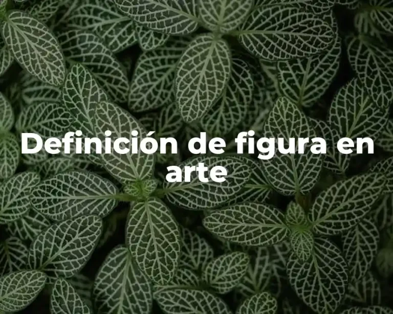 Definición de figura en arte
