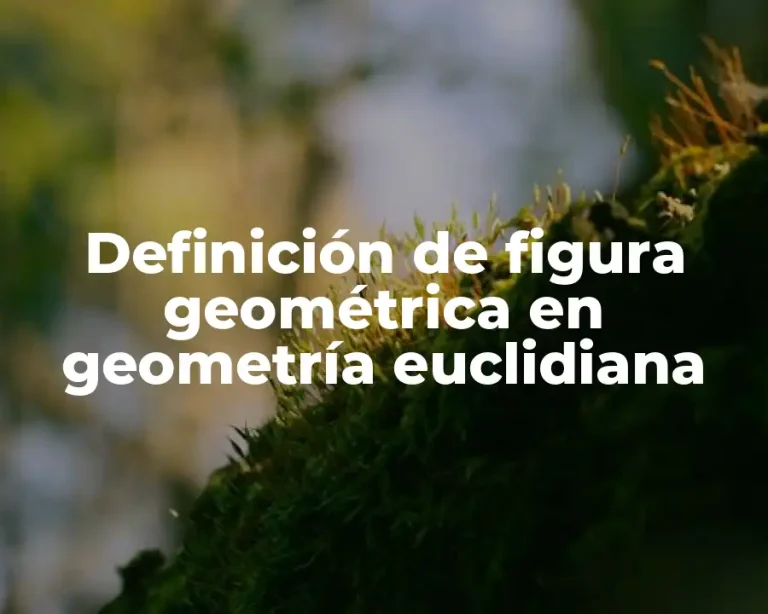 Definición de figura geométrica en geometría euclidiana