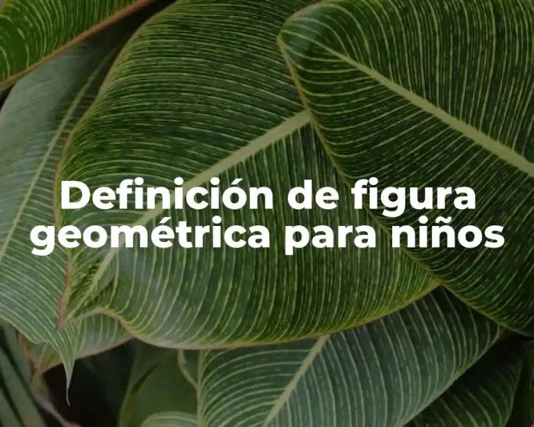 Definición de figura geométrica para niños