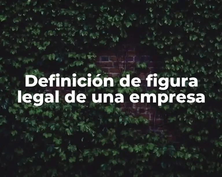 Definición de figura legal de una empresa