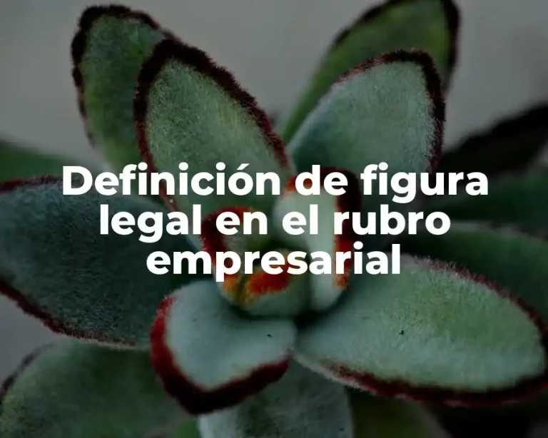Definición de figura legal en el rubro empresarial