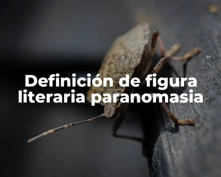 Definición de figura literaria paranomasia