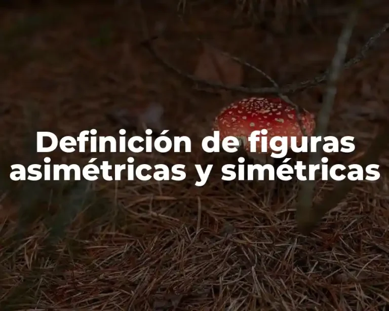 Definición de figuras asimétricas y simétricas