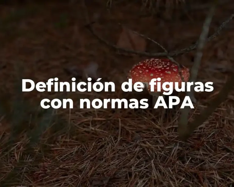 Definición de figuras con normas APA