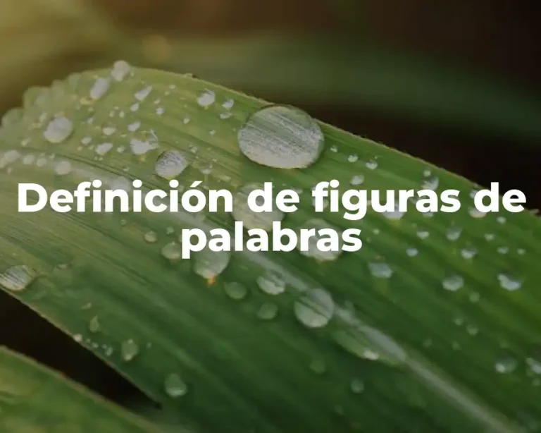 Definición de figuras de palabras