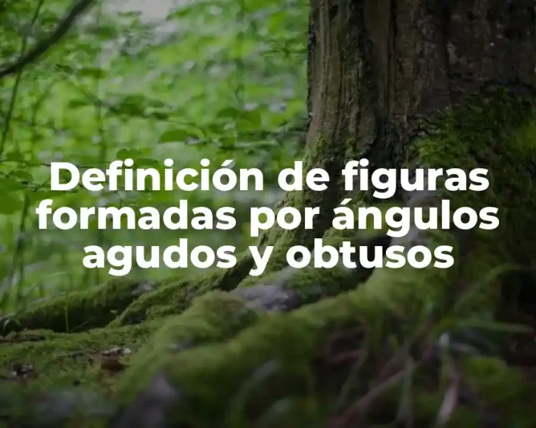Definición de figuras formadas por ángulos agudos y obtusos