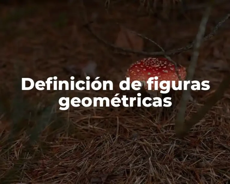 Definición de figuras geométricas
