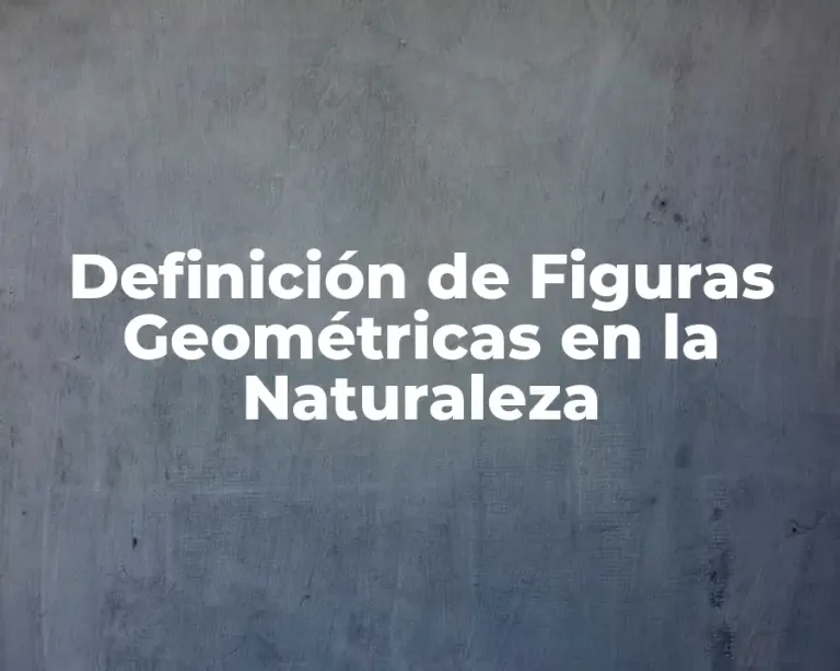 Definición de Figuras Geométricas en la Naturaleza
