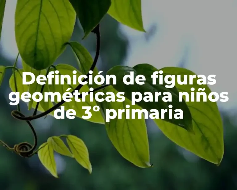 Definición de figuras geométricas para niños de 3º primaria