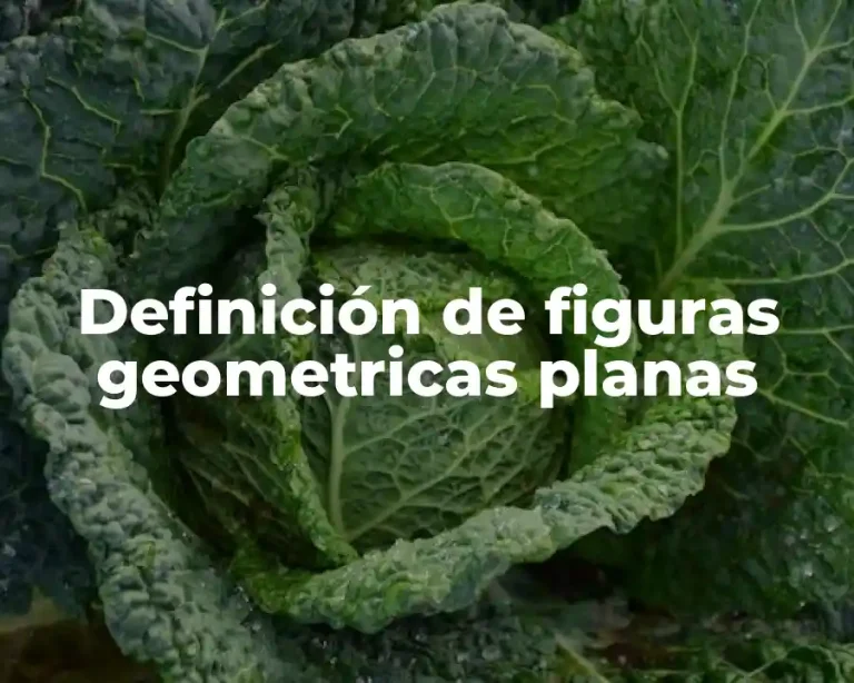 Definición de figuras geometricas planas