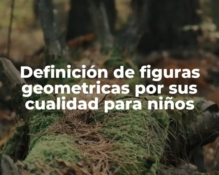 Definición de figuras geometricas por sus cualidad para niños