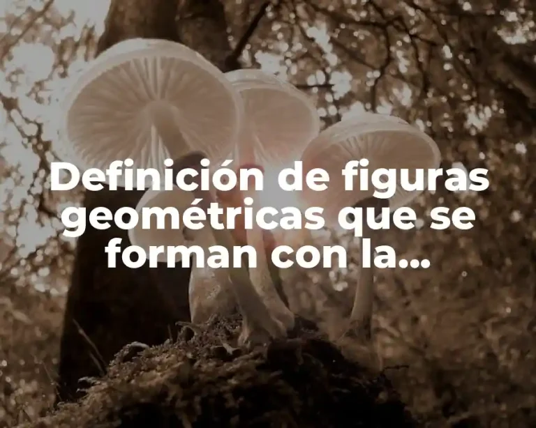 Definición de figuras geométricas que se forman con la naturaleza