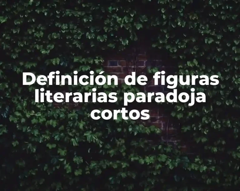 Definición de figuras literarias paradoja cortos