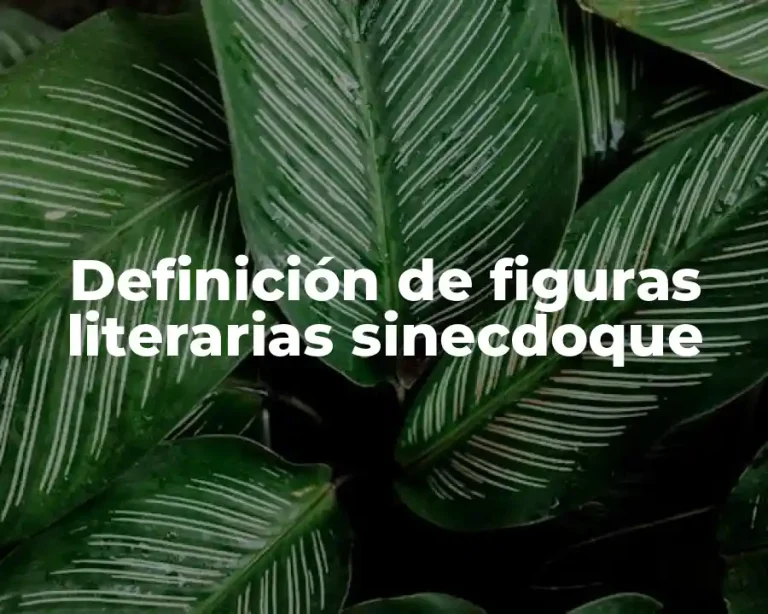 Definición de figuras literarias sinecdoque